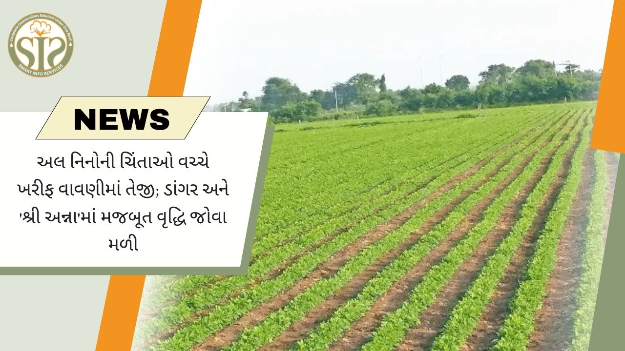 Short Title: ખરીફ વાવેતર વધ્યું, કપાસમાં ઘટાડો