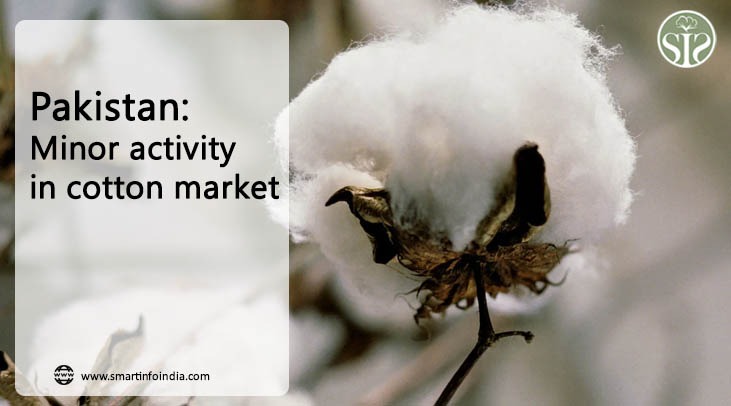 Pakistan: Final Presentation in Business Market