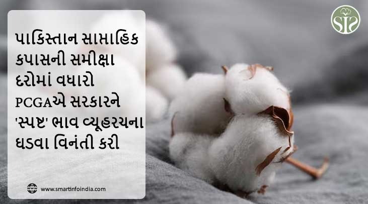 પાકિસ્તાન: સાપ્તાહિક કપાસની સમીક્ષા: દરોમાં વધારો: PCGAએ સરકારને 'સ્પષ્ટ' ભાવ વ્યૂહરચના ઘડવા જણાવ્યું