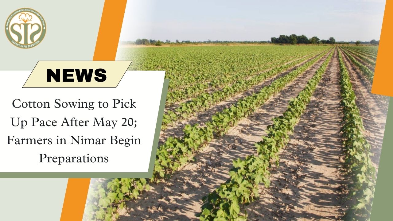 Preparations for cotton sowing intensify in Nimar; expected to gain momentum after May 20.