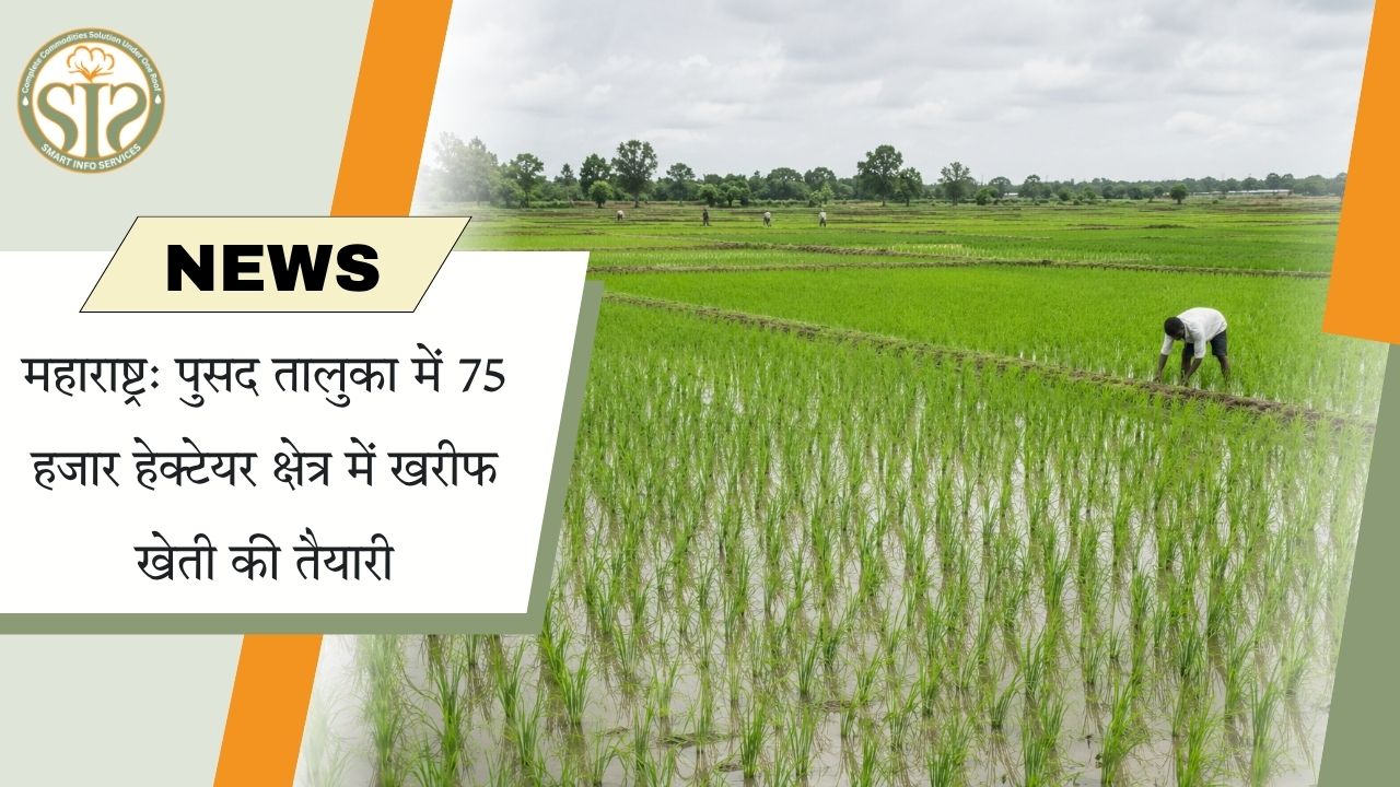 महाराष्ट्र: पुसद में 75 हजार हेक्टेयर में खरीफ बुवाई की तैयारी