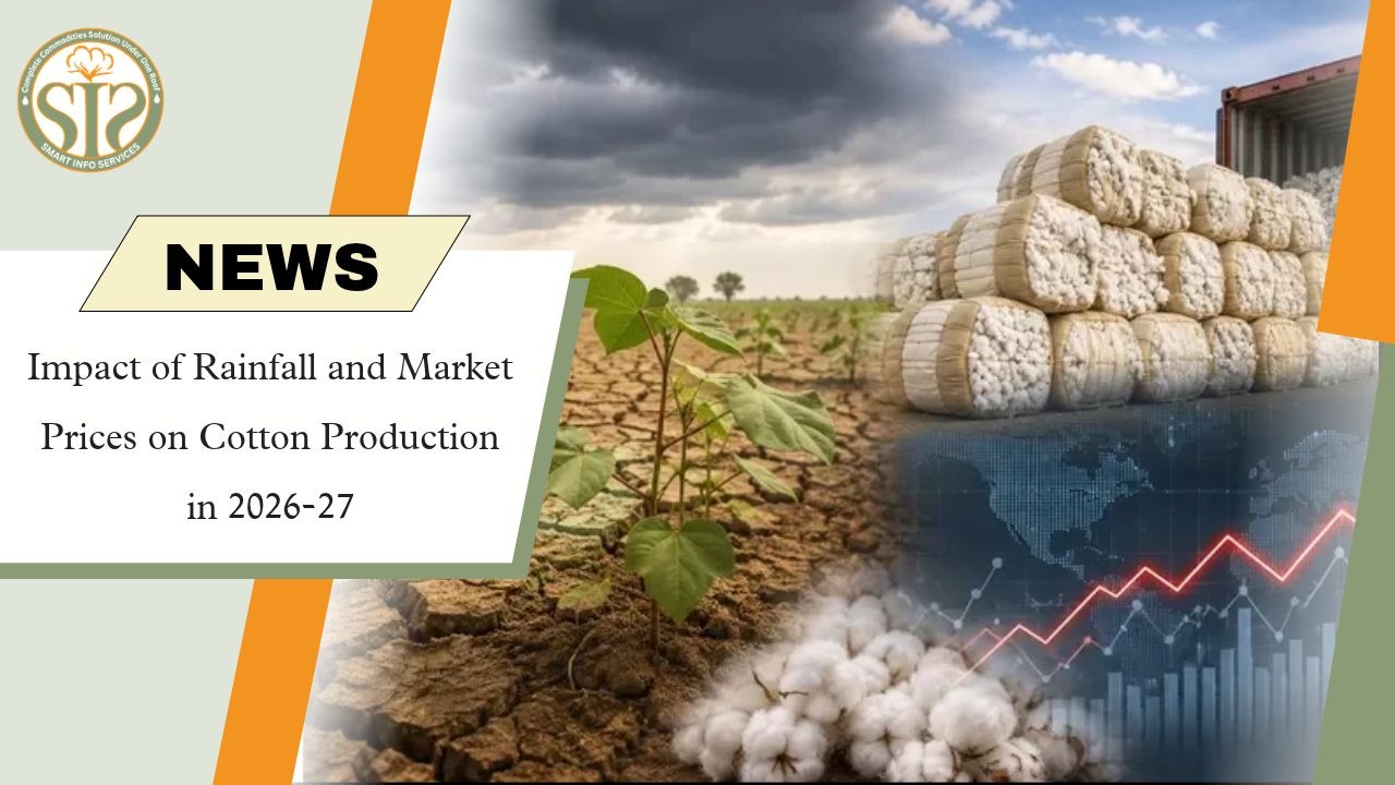 Rain, Prices Shape Cotton Output
