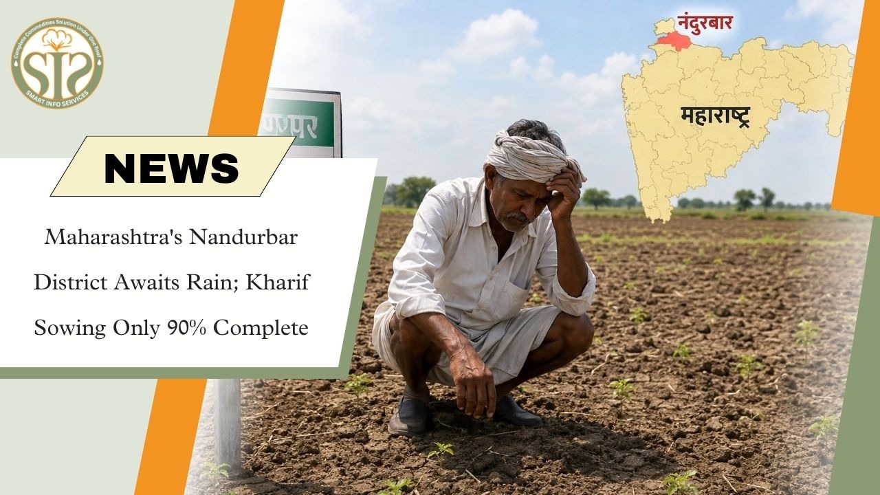 Nandurbar Kharif Sowing Stalls