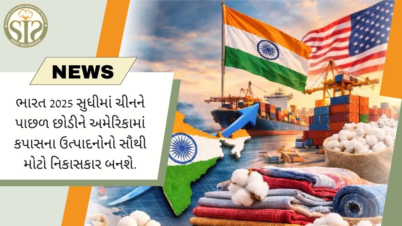 ભારત કપાસની નિકાસમાં ચીનને પાછળ છોડીને અમેરિકાને સૌથી મોટો સપ્લાયર બન્યો