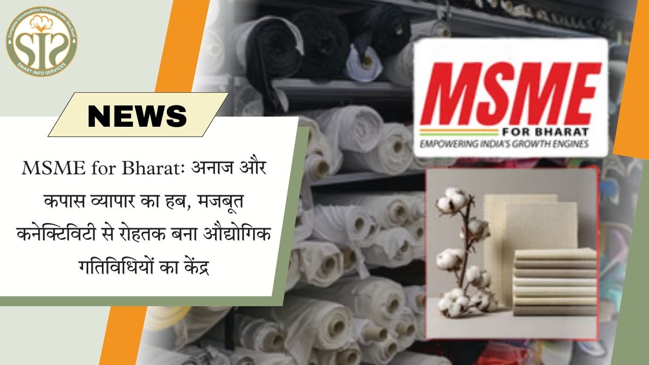 रोहतक: अनाज-कपास व्यापार का हब, MSME का नया केंद्र