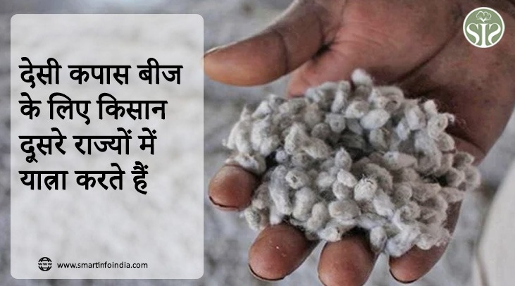 Farmers travel to other states for indigenous cotton seeds