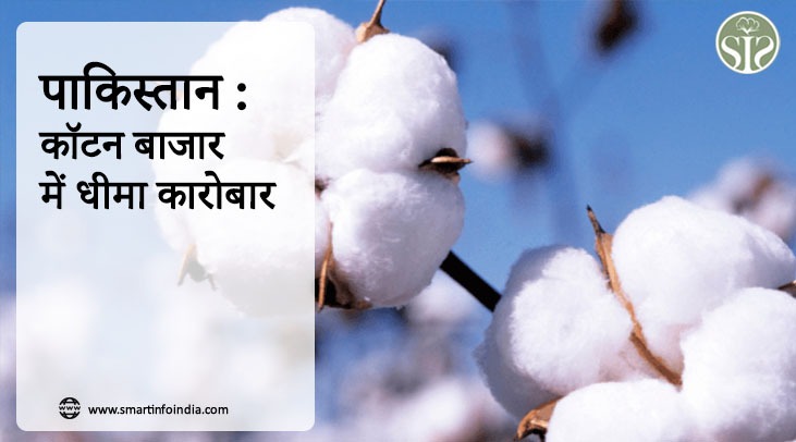 पाकिस्तान : कॉटन बाजार में धीमा कारोबार