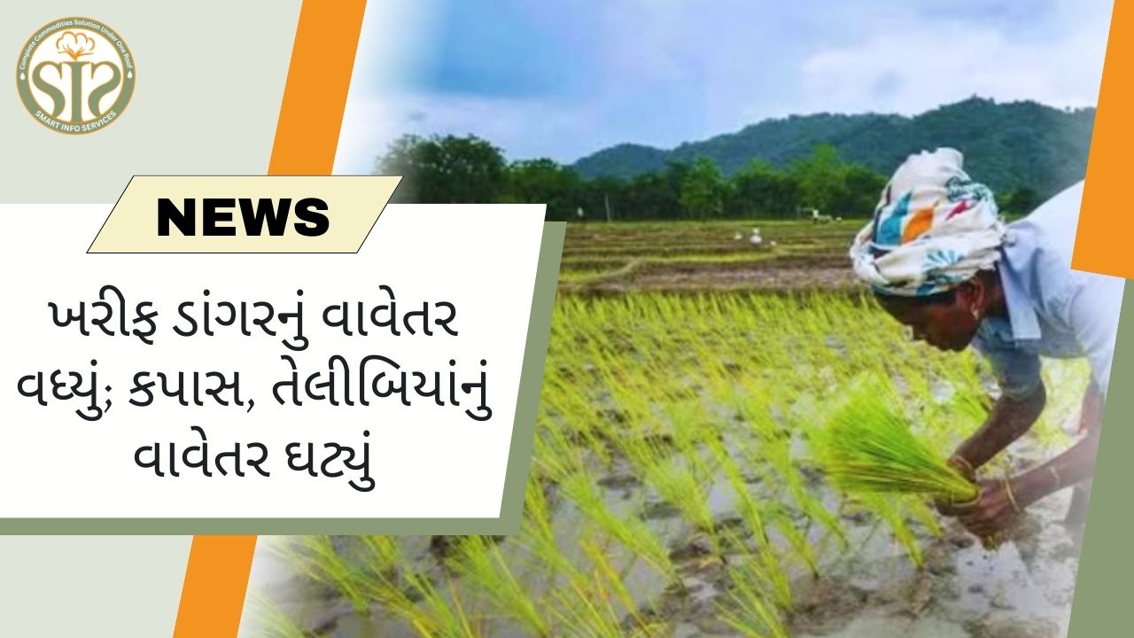 ડાંગરની વાવણી ઝડપી, કપાસ અને તેલીબિયાંનું વાવેતર ધીમું