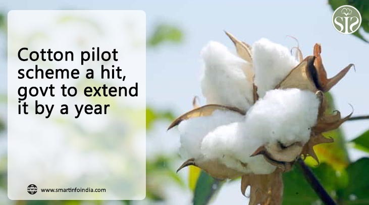 Cotton pilot scheme successful, government will extend it by one year