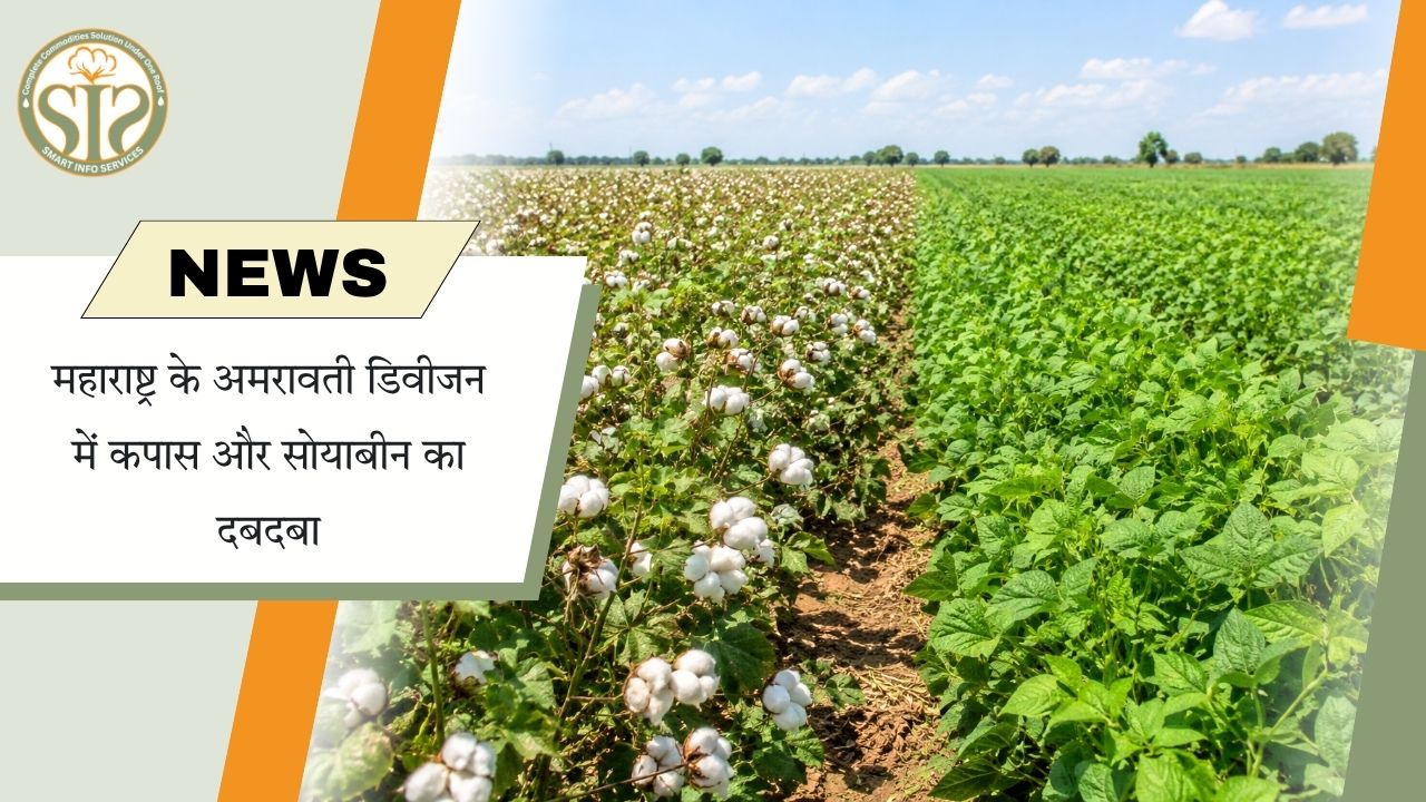 अमरावती में कपास, सोयाबीन का दबदबा