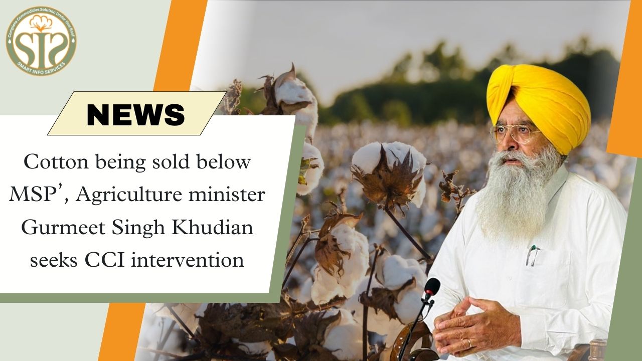 Cotton prices below MSP, CCI intervention sought