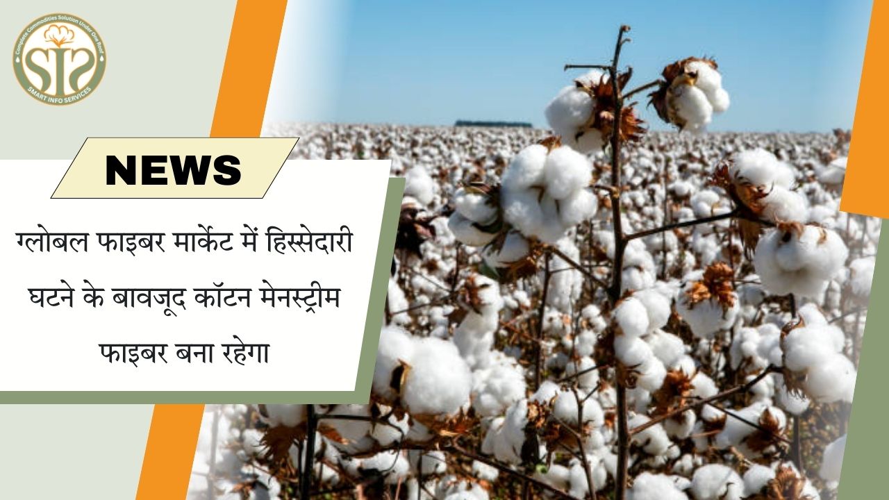 हिस्सेदारी घटने के बावजूद कॉटन रहेगा मुख्य फाइबर