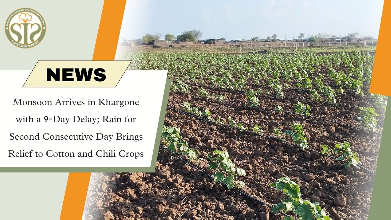 Monsoon Reaches Khargone After Delay