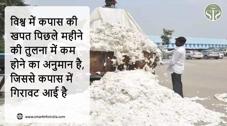 विश्व में कपास की खपत पिछले महीने की तुलना में कम होने का अनुमान है, जिससे कपास में गिरावट आई है