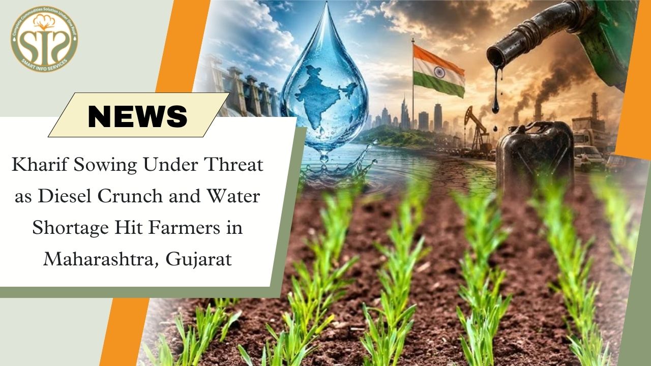 Kharif Sowing Hit by Diesel and Water Crisis in Maharashtra, Gujarat