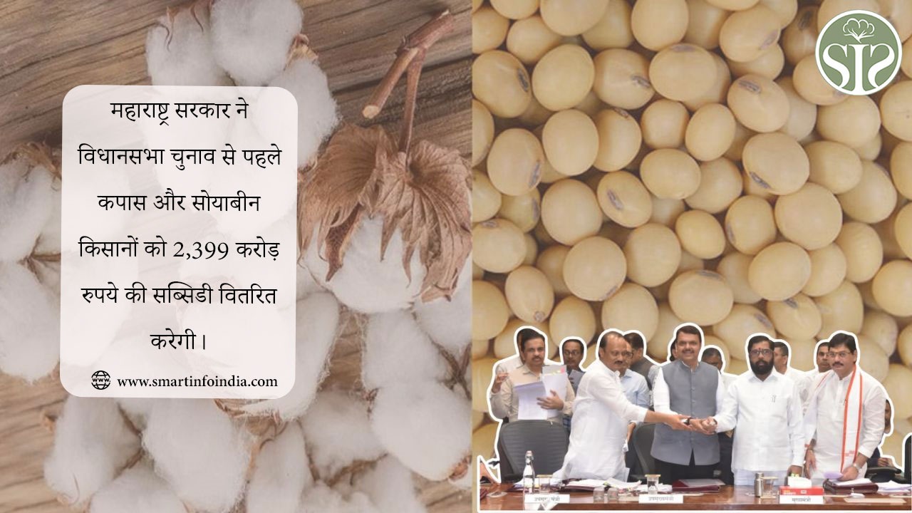 महाराष्ट्र सरकार ने विधानसभा चुनाव से पहले कपास और सोयाबीन किसानों को 2,399 करोड़ रुपये की सब्सिडी वितरित करेगी।