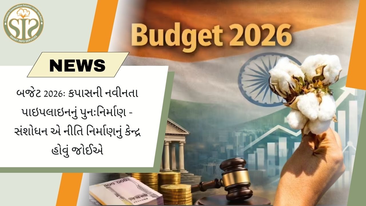 બજેટ ૨૦૨૬: કપાસ માટે સંશોધન આધારિત નીતિ