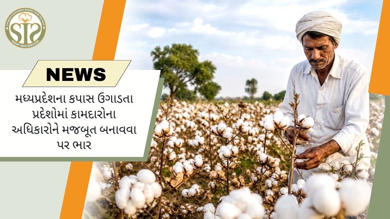 MPમાં કપાસ કામદારોના અધિકારો પર ભાર