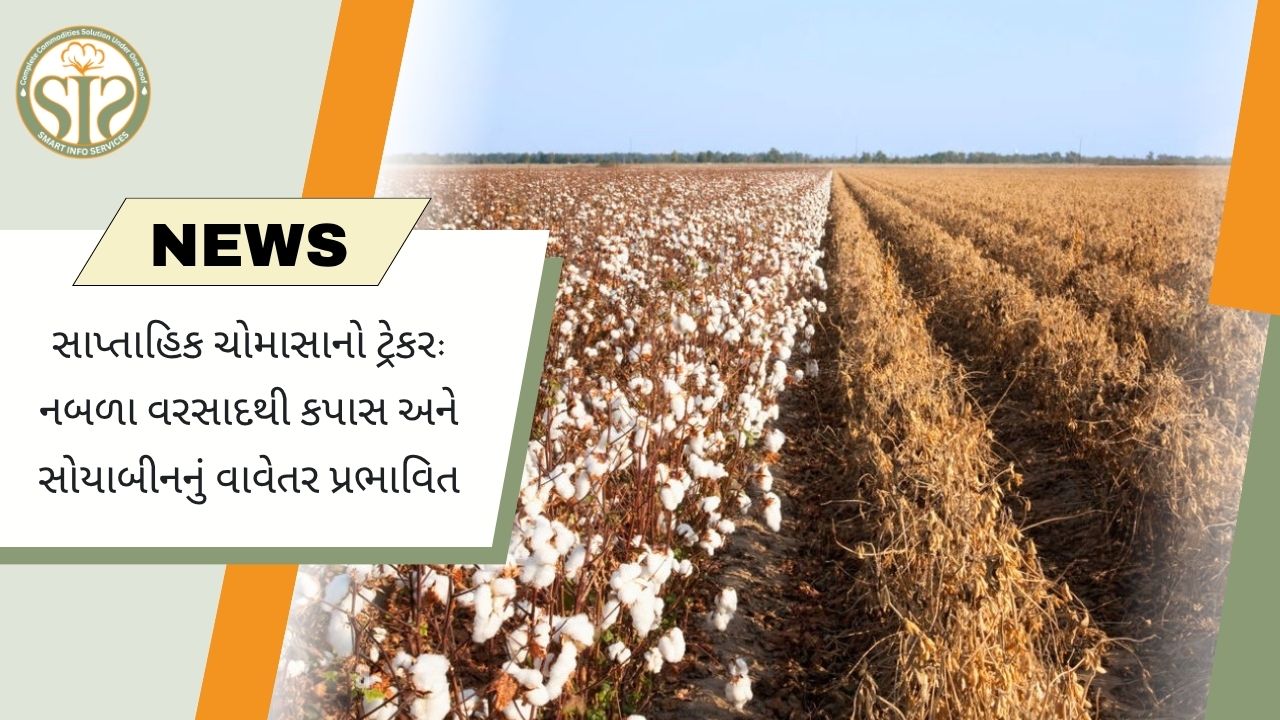 સાપ્તાહિક મોનસૂન ટ્રેકર: નબળા વરસાદથી કપાસ અને સોયાબીનની વાવણી પર અસર
