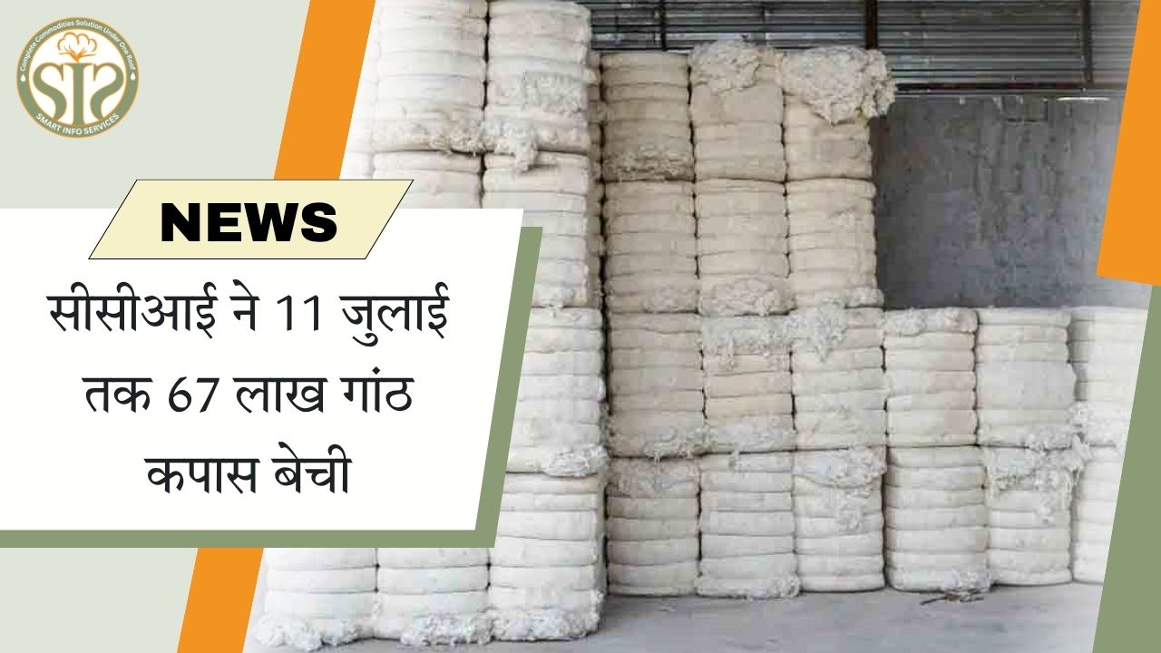 सीसीआई ने 11 जुलाई तक 67 लाख गांठ कपास बेची