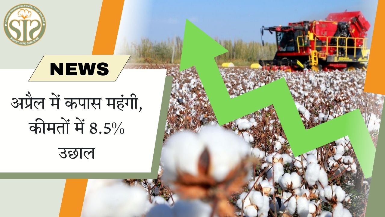कम उत्पादन के अनुमान के बीच अप्रैल में कपास की कीमतों में 8.5% से ज़्यादा की बढ़ोतरी