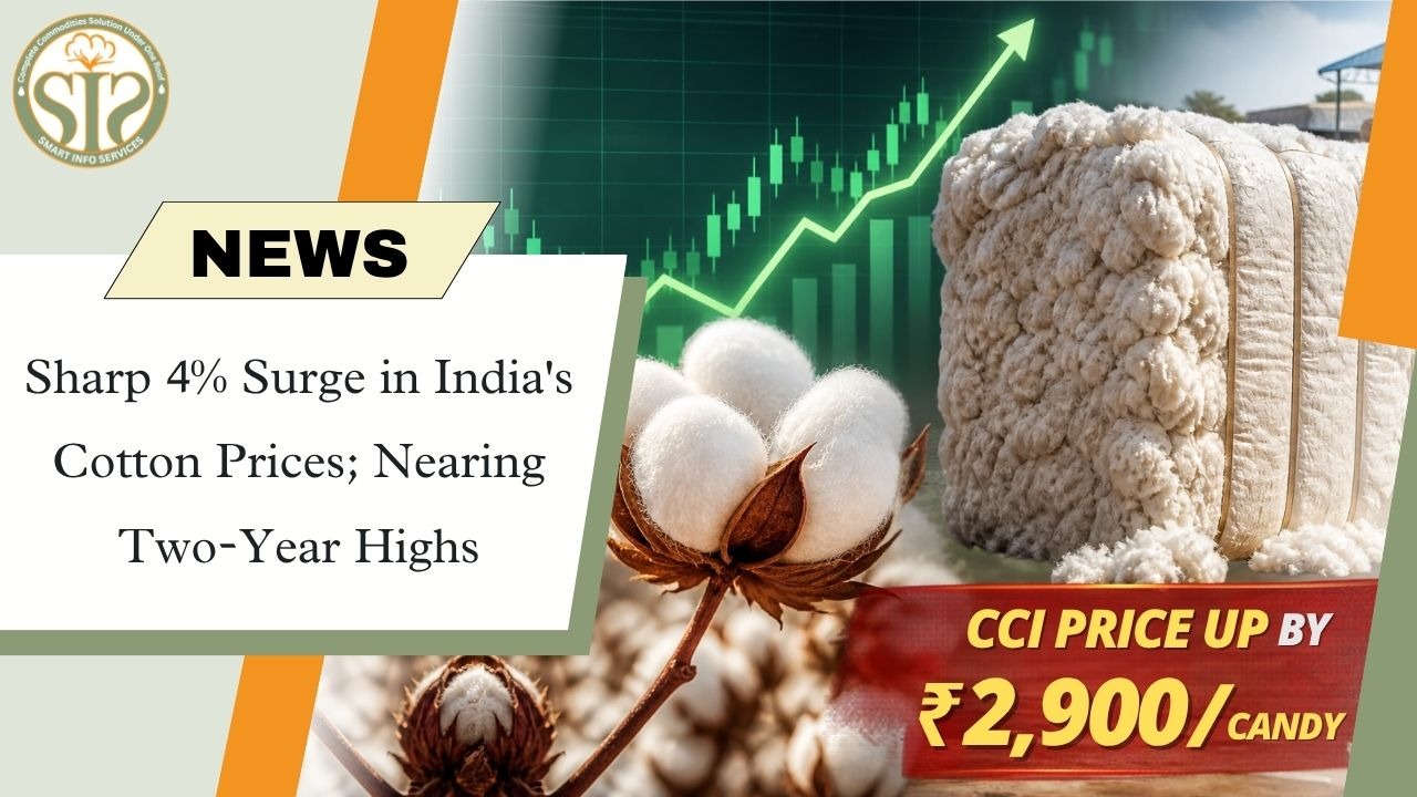 Cotton Prices Surge 4%, Nearing Two-Year High