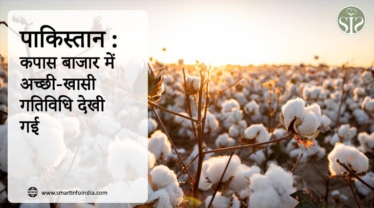 पाकिस्तान : कपास बाजार में अच्छी-खासी गतिविधि देखी गई