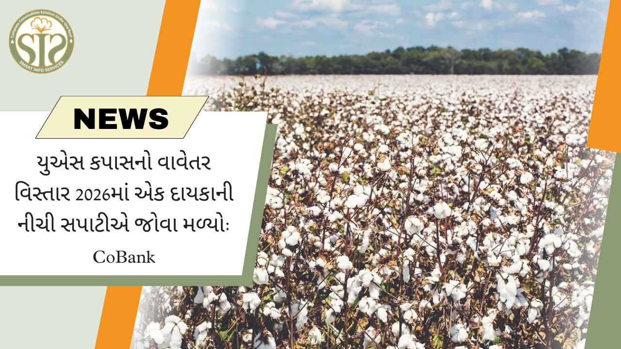 યુએસ કપાસનું વાવેતર 2026માં દાયકામાં સૌથી નીચા સ્તરે: CoBank