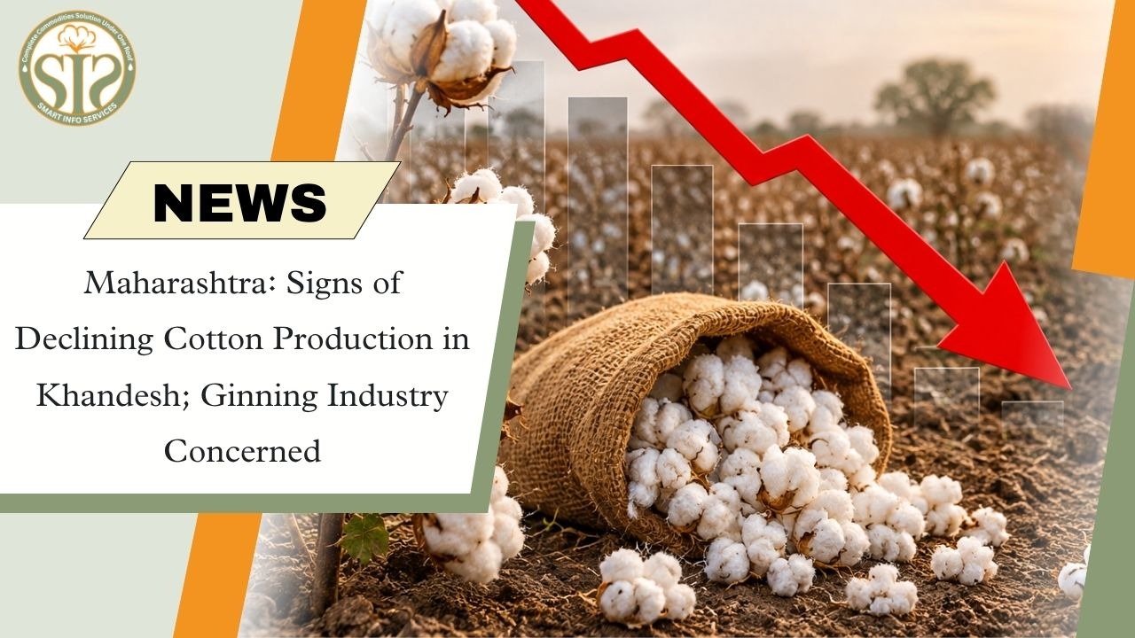 Khandesh Cotton Output Seen Falling; Ginning Units Under Pressure