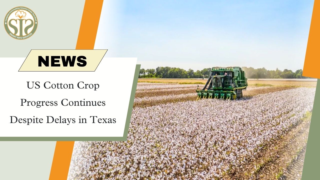US Cotton Planting Advances Despite Texas Delays