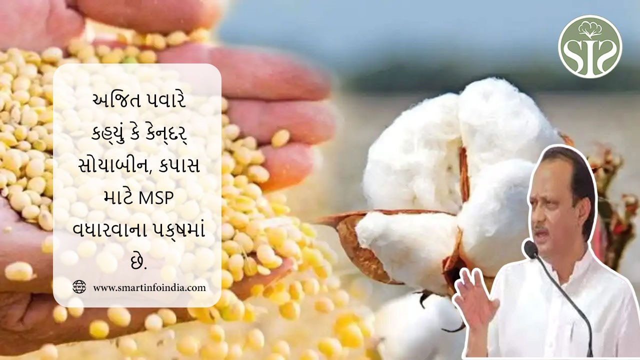 અજિત પવારે કહ્યું કે કેન્દ્ર સોયાબીન, કપાસ માટે MSP વધારવાના પક્ષમાં છે.