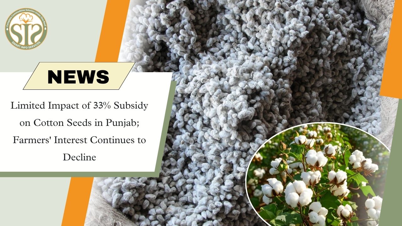 Punjab Cotton Subsidy Sees Low Response