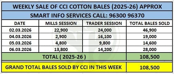 CCI સાપ્તાહિક કપાસની હરાજી: ૧.૦૮ લાખ ગાંસડી વેચાઈ, ભાવ સ્થિર