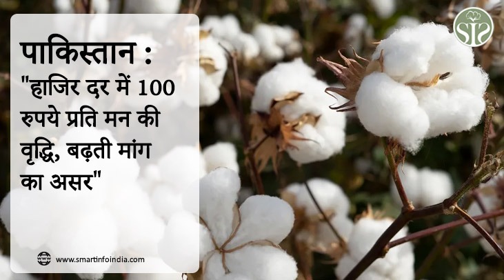 पाकिस्तान : "हाजिर दर में 100 रुपये प्रति मन की वृद्धि, बढ़ती मांग का असर"