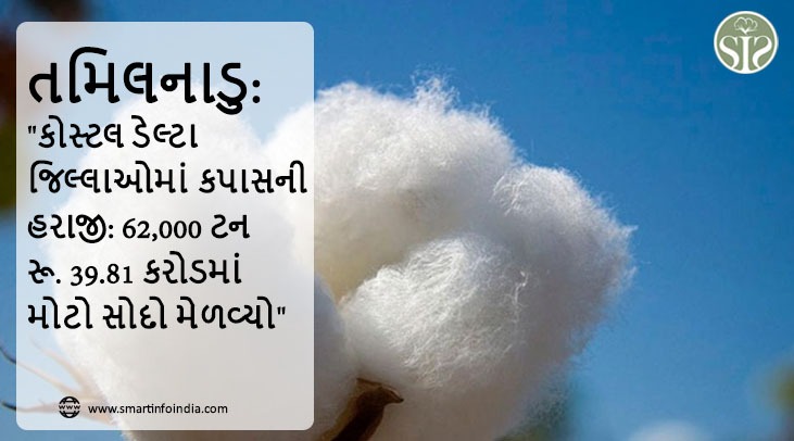 તમિલનાડુ: "કોસ્ટલ ડેલ્ટા જિલ્લાઓમાં કપાસની હરાજી: 62,000 ટન રૂ. 39.81 કરોડમાં મોટો સોદો મેળવ્યો"