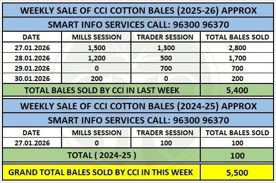 CCI કપાસના ભાવ સ્થિર રાખે છે, ઓનલાઈન હરાજી દ્વારા સાપ્તાહિક વેચાણ ચાલુ રહે છે