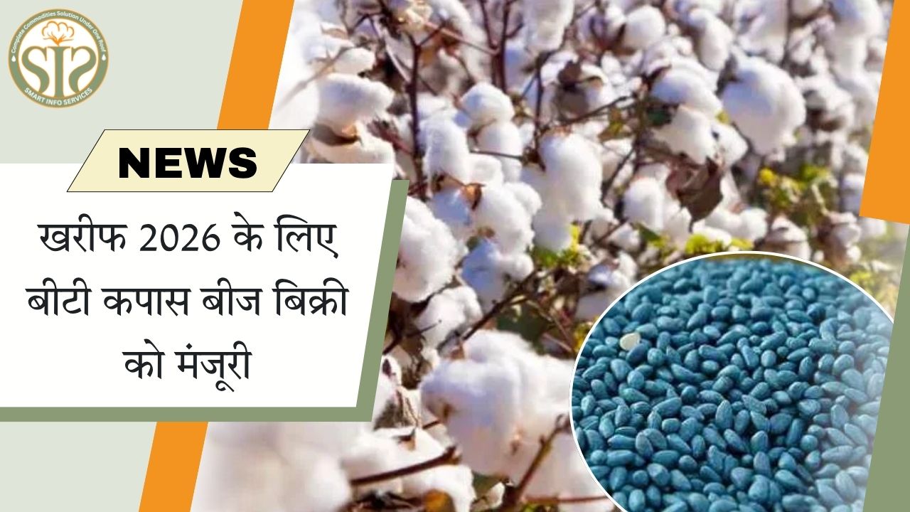 किसानों के लिए राहत: खरीफ 2026 में बीटी कपास बीज बिक्री को हरी झंडी
