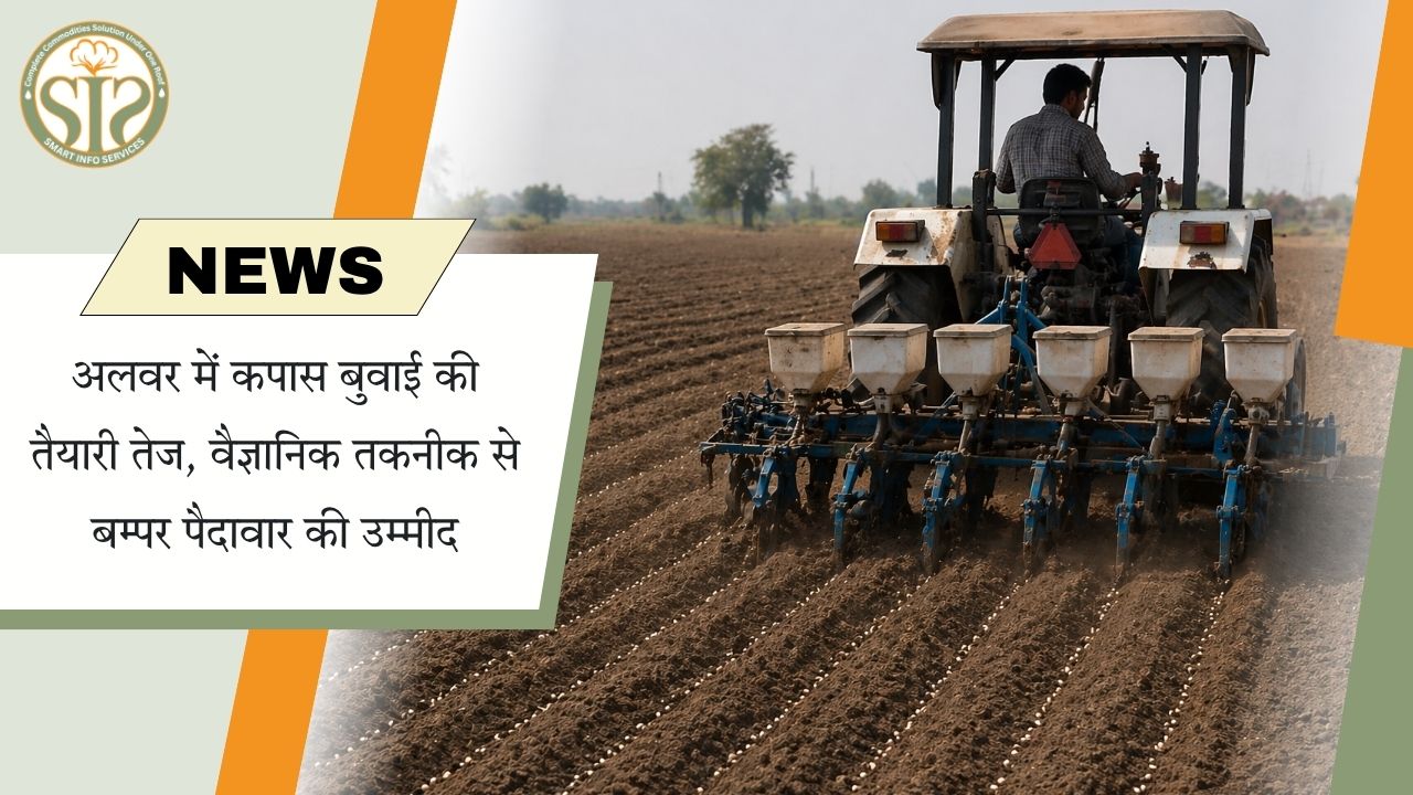अलवर में कपास बुवाई की तैयारी, बम्पर पैदावार की उम्मीद