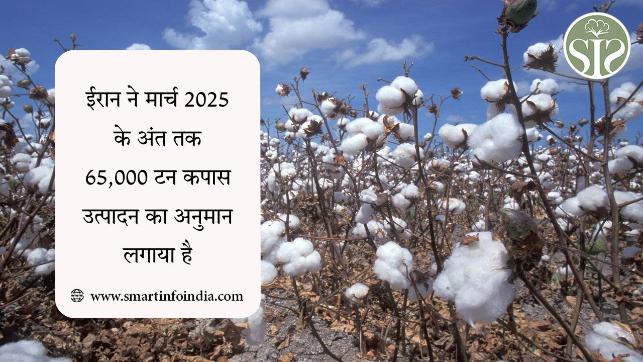 ईरान ने मार्च 2025 के अंत तक 65,000 टन कपास उत्पादन का अनुमान लगाया है
