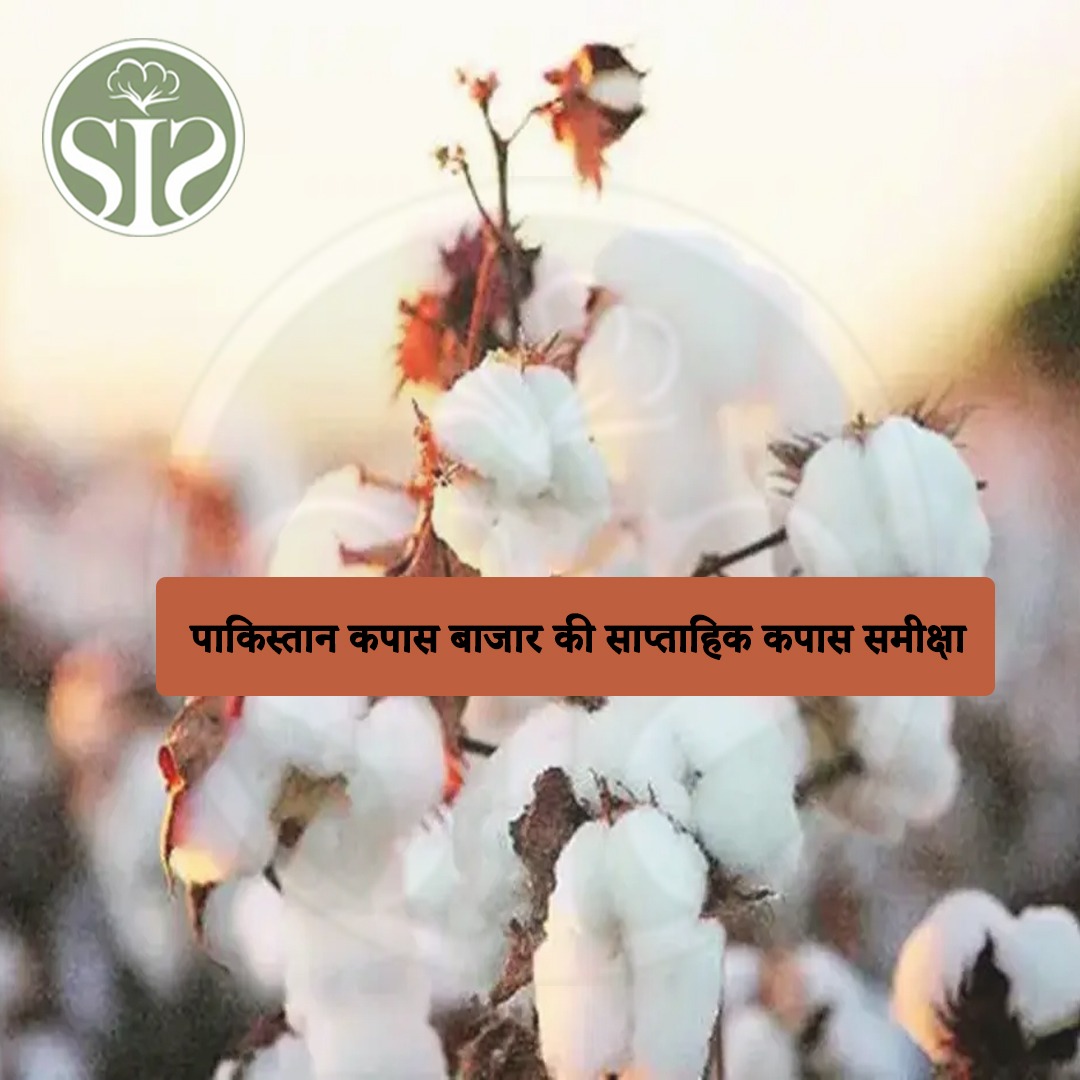 Weekly Cotton Review of Pakistan Cotton Market