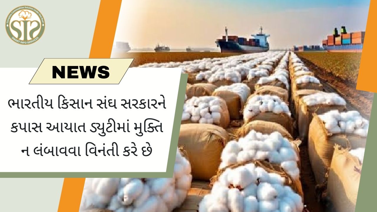 કપાસની આયાત ડ્યુટી મુક્તિમાં વધારો ન કરવા ખેડૂત સંગઠનનો આગ્રહ