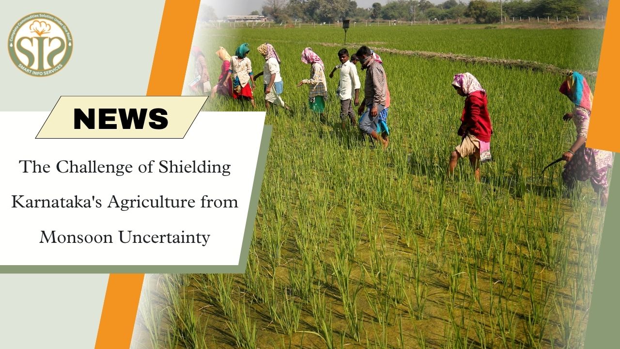 Karnataka Monsoon Deficit Threatens Kharif Crops, Food Security