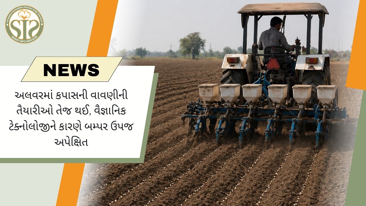 અલવરમાં કપાસના વાવેતરની તૈયારીઓ ચાલી રહી છે; બમ્પર ઉપજની અપેક્ષા છે.