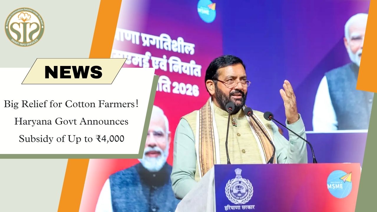 Haryana Cotton Farmers Get ₹4,000 Subsidy