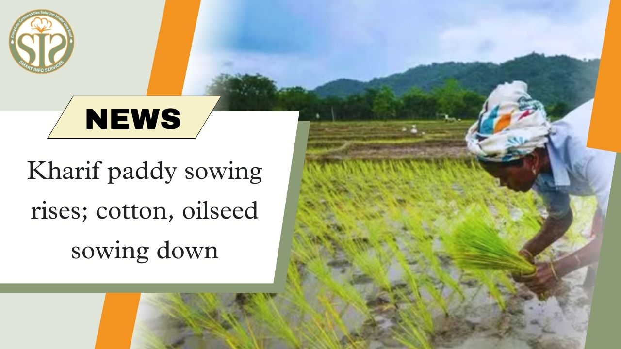 Sowing of paddy is fast, cotton-oilseed is slow