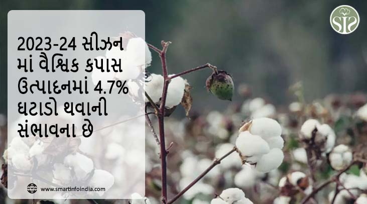 2023-24 સીઝનમાં વૈશ્વિક કપાસ ઉત્પાદનમાં 4.7% ઘટાડો થવાની સંભાવના છે