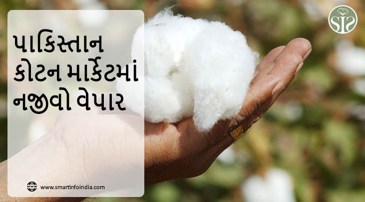 પાકિસ્તાન કોટન માર્કેટમાં નજીવો વેપાર