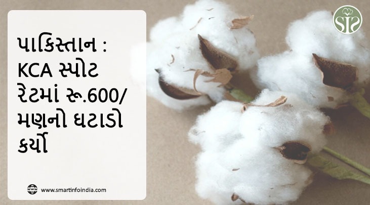 પાકિસ્તાનઃ KCAએ સ્પોટ રેટમાં માથાદીઠ રૂ. 600નો ઘટાડો કર્યો છે.