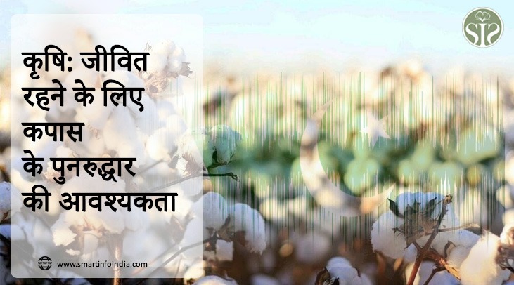 Agriculture: Revival of cotton needed to survive