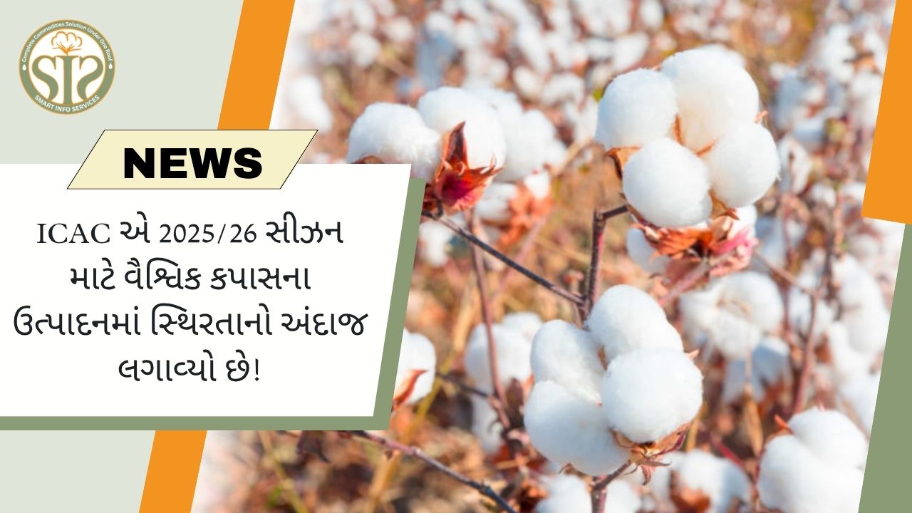 ICAC એ 2025/26 સીઝન માટે વૈશ્વિક કપાસના ઉત્પાદનમાં સ્થિરતાનો અંદાજ લગાવ્યો છે!
